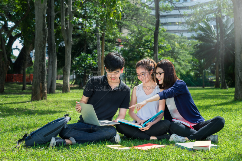 校园,学生,大学,人群,青少年,活页夹,草,青年人,教育