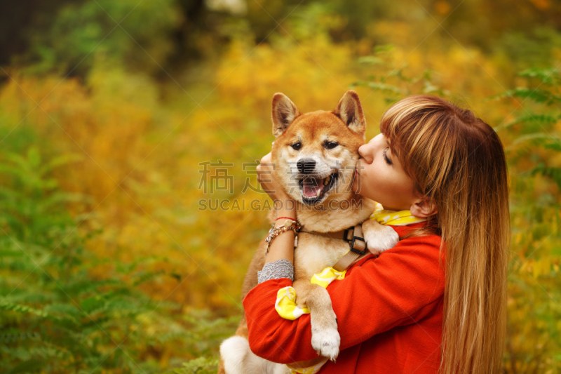 日本柴犬,公园,狗,秋天,女孩,业主,水平画幅,进行中,户外,友谊