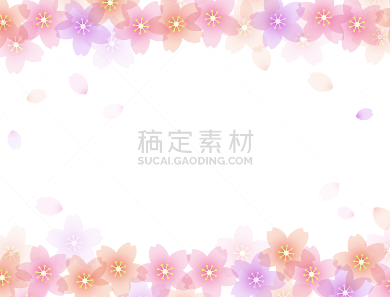 樱花,材料,背景,华丽的,纹理效果,贺卡,珊瑚色,彩色背景,边框,模板