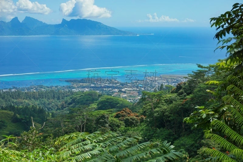 视角,塔西提岛,茉莉雅岛,法属玻利尼西亚,太平洋岛屿,热带气候,普纳奥亚,枝繁叶茂,玻利尼西亚,社会岛