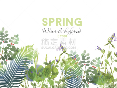 春天,矢量,背景,水彩画,水彩画颜料,美,贺卡,绘画插图,夏天