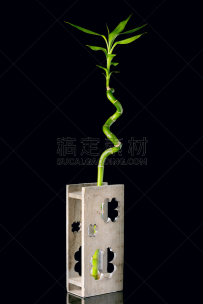 花瓶,竹,环境,木制,图像,概念,黑色背景,茎,富贵竹,竹子叶