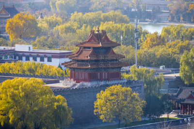 故宫,北京,胡青,明朝风格,庭院,亭台楼阁,水平画幅,古老的,旅行者,户外
