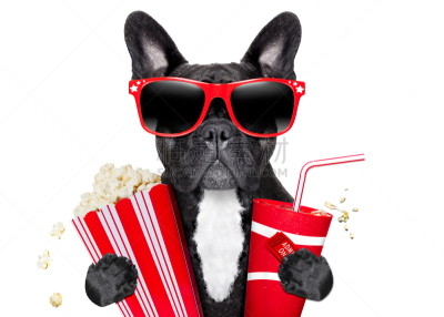 电影工业,狗,puggle犬,爆米花,电影,拳师犬,法国斗牛犬,好莱坞,巴哥犬,骄纵宠物