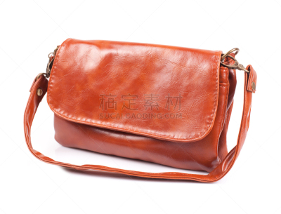 女人,手包,皮革,个人随身用品,水平画幅,顾客,符号,商店,魅力,鳄鱼