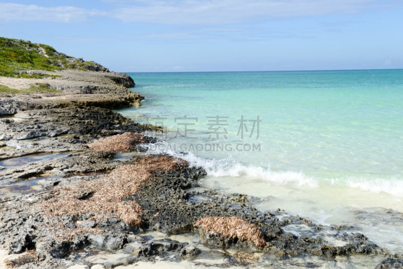 卡优归勒莫滩,古巴,海滩,自然,美,水平画幅,沙子,夏天,户外,图像