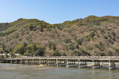 katsura,岚山,京都市,河流,日本,侧面视角,渡月桥,嵯峨野,公园,里山
