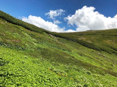 平和,长野县,清新,环境,云,雪,自然美,户外,天空,晴朗