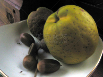 Stillleben Apfel mit Eicheln und NÃ¼ssen