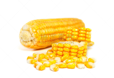 分离着色,玉米,白色背景,无人,湿,蔬菜,食品,甜玉米,图像,水平画幅
