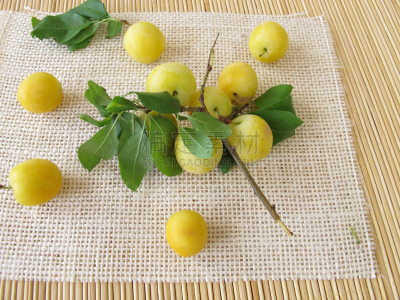 李子,黄色,樱桃,blireiana plum,黄香李,水平画幅,水果,无人,2015年,摄影