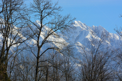 雪,意大利,山谷,贝卢诺,山,有包装的,寒冷,雪橇滑学,山口,环境