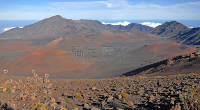 哈来亚咔拉国家公园,夏威夷大岛,美国,卡里多尼亚郡,绞杀植物,可那,南太平洋,平房,考艾岛,毛伊岛