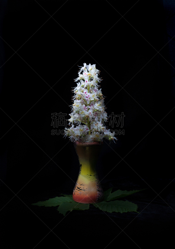栗树,烛台,蜡烛,黑色背景,自然的窗子,申请表,垂直画幅,美,枝繁叶茂,早晨