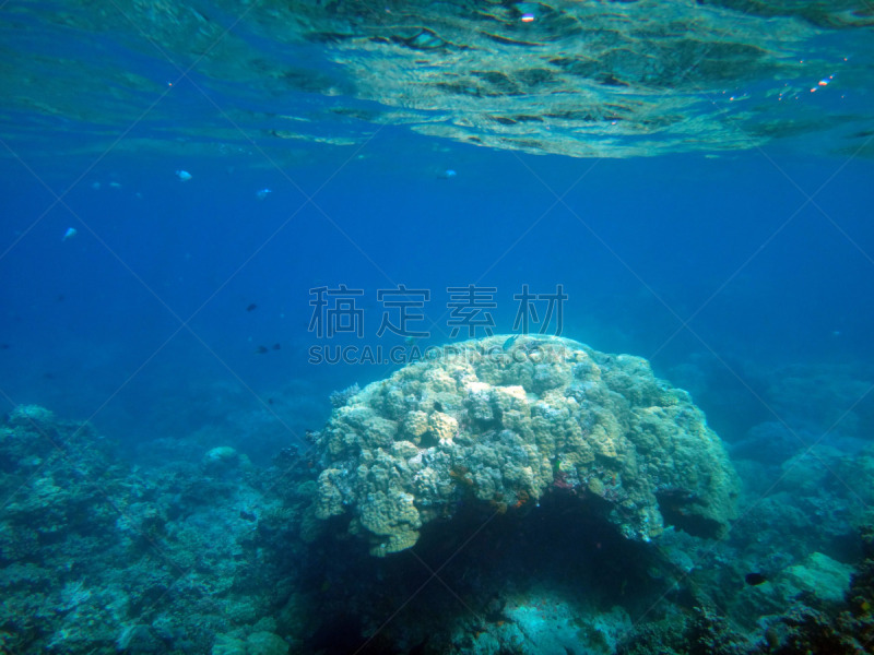 岛,瓦努阿图,宁静,海洋生命,埃法特岛,水,度假胜地,水平画幅,沙子,海葵