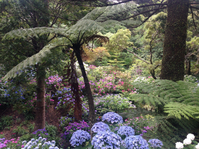 惠灵顿,新西兰,天空,长椅,lake taupo,艺术,水平画幅,云,贝壳,无人