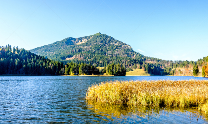 巴伐利亚,lake spitzingsee,自然,水平画幅,地形,秋天,无人,全景,欧洲,户外