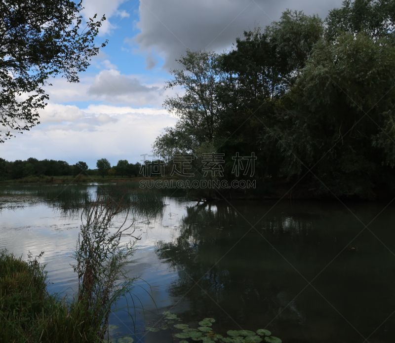 The Saône river