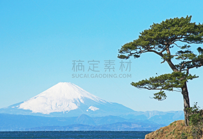 富士山,松树,水平画幅,岩石,雪,无人,日本,户外,海洋,松科
