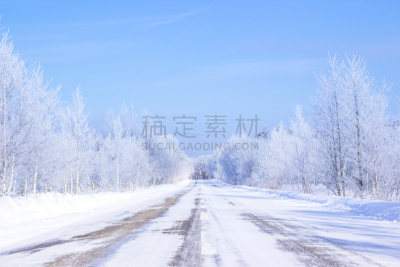 日本,弟子屈,软霜,白桦树,非都市风光,自然荒野区,路,冬天,寒冷,雪