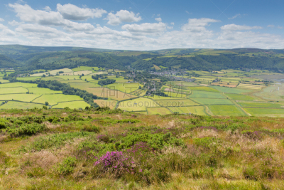 庞洛克,萨默塞特,风景,exmoor,迈恩黑德,自然,停泊的,旷野,摩尔人风格,悬崖