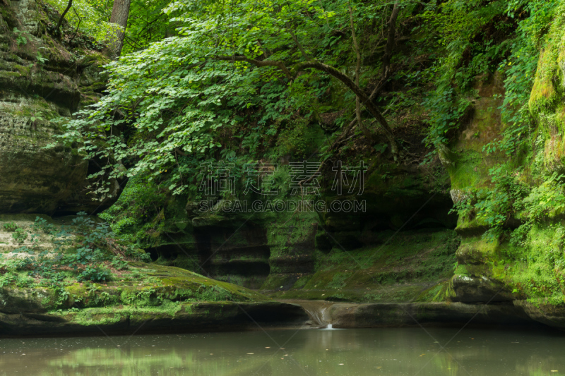 夏天,峡谷,早晨,饥饿岩石州立公园,瘦弱,伊利诺斯州,水,水平画幅,瀑布,无人