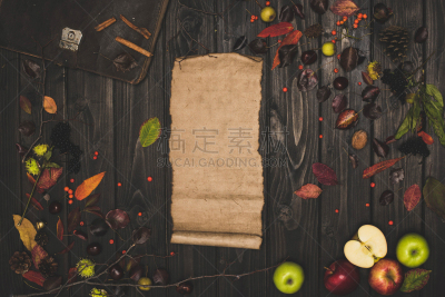 羊皮纸,叶子,空白的,秋天,美,留白,古董,秋分,水平画幅,无人