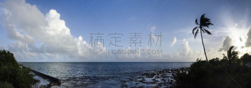 bahia honda key,佛罗里达群岛,水,留白,棕榈树,镜头眩光,白色,彩色图片,热带气候,绿色