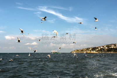 海洋,马尔马拉海地区,拖捞船,自然,天空,水平画幅,蓝色,钢筋,人,户外