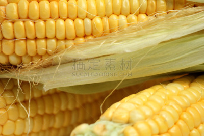 玉米,水平画幅,素食,水果,秋天,无人,有机食品,外壳,膳食,维生素