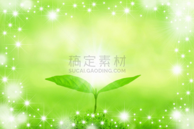 边框,水平画幅,秧苗,无人,日本,材料,光,环境,叶子,背景