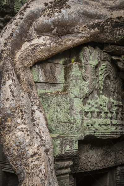 柬埔寨,塔布笼寺,垂直画幅,旅游目的地,king jayavarman vii,无人,高棉文明,暹粒,寺庙