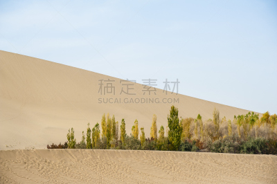 敦煌,沙漠,森林,甘肃省,天空,水平画幅,山,无人,户外