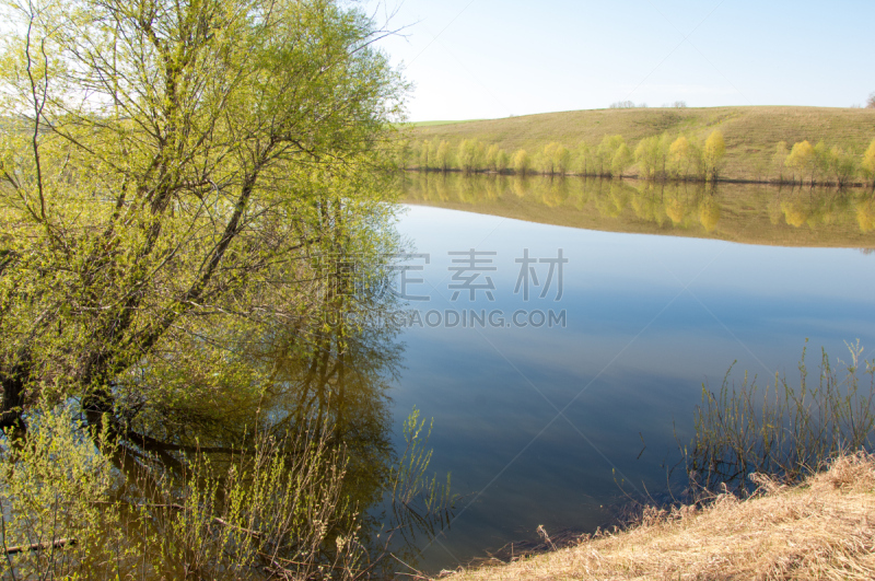 泉湖,池塘,春天,水,天空,美,日内瓦,水平画幅,无人,阿尔默勒