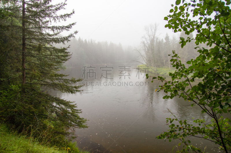 密歇根,原野,river ausable,公园,枝繁叶茂,池塘,流水,松树,河流,自然荒野区