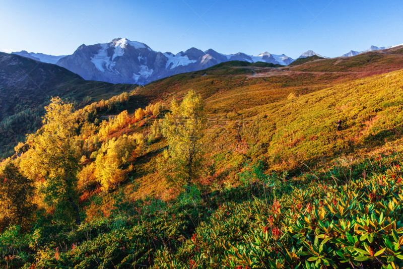 秋天,看风景,山顶,地形,雪山,乔治,女混血舞者,雪崩,克服困难,滑雪运动