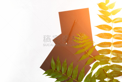 速写本,绿色,看风景,在上面,自然,桌子,铅笔,镜头眩光,白色