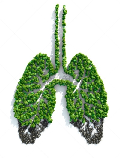 人类肺脏,行星,腺泡,桤树,森林开伐,北方针叶林,亚马逊雨林,二氧化碳,亚马逊地区,垂直画幅