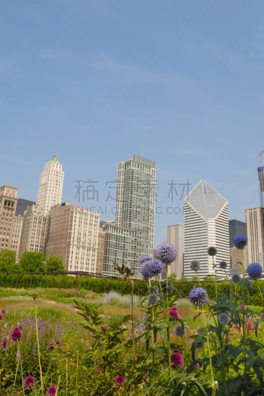 都市风光,芝加哥格兰特公园,垂直画幅,窗户,美,建筑,无人,芝加哥市,玻璃,夏天