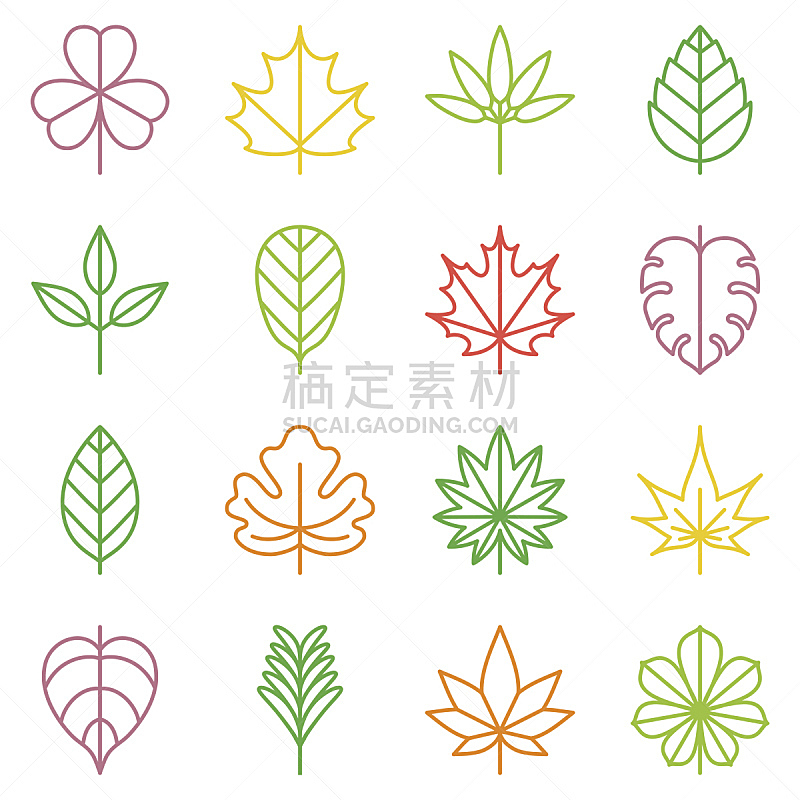 符号,叶子,枫树,白桦,熏衣草,三叶草,美,形状,无人,绘画插图