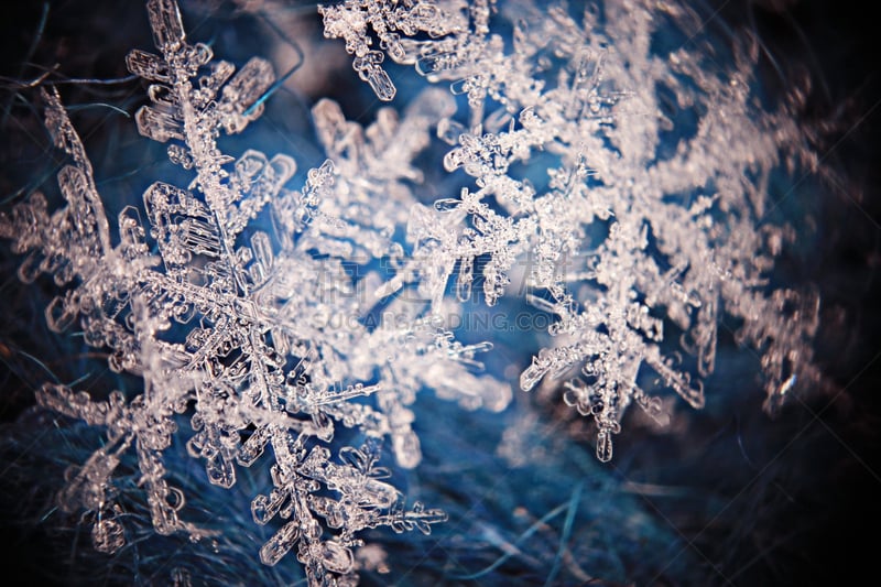 雪花,水晶,蓝色背景,水平画幅,雪,无人,特写,冰晶,冬天