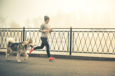 狗,慢跑,图像,阿拉斯加雪橇犬,女孩,导盲犬,冬天,美,青少年,公园