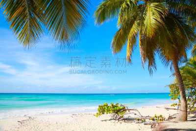 海岸线,沙子,海滩,白色,加勒比海,撒啊那山,沙漠绿洲,加勒比海地区,伊斯帕尼奥拉岛,多米尼加共和国