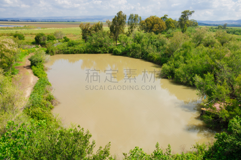 湿地,水,天空,水平画幅,无人,沼泽,户外,草,海法,远古的