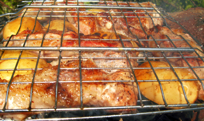 煤,烤肉架,大篝火,烤串,烤牛肉,臭,格子烤肉,芳香的,水平画幅,膳食