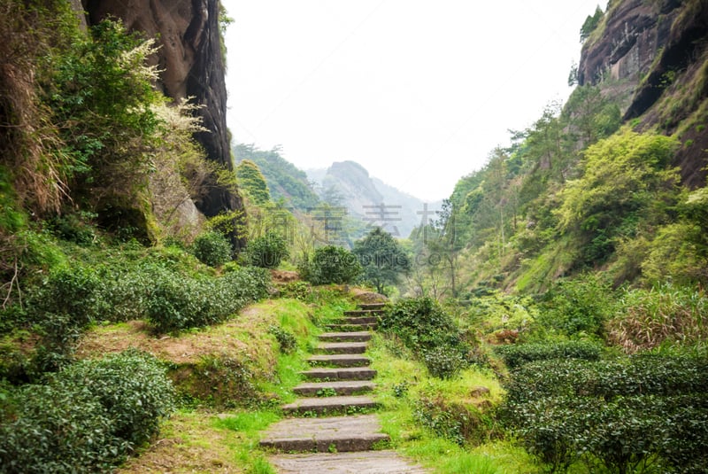 过去,山,小路,新的,古老的,早晨,福建省,农作物,高处,过时的