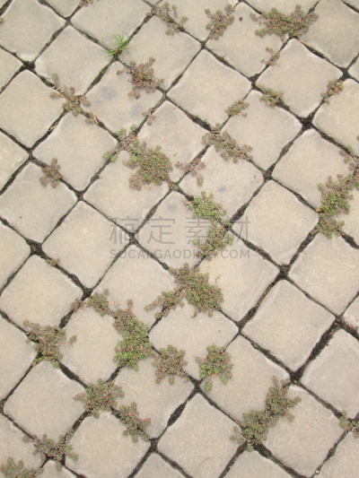 石材,人行道,枫树的翅果,垂直画幅,纹理效果,形状,户外,草,特写,都市风景