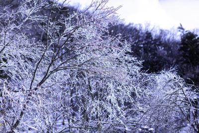 冬天,雪,日本,安静,云,深雪,木制,晴朗,长野城,白色