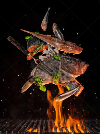 格子,生食,鱼类,完整,分离着色,黑色背景,炊具,垂直画幅,海鲷,膳食