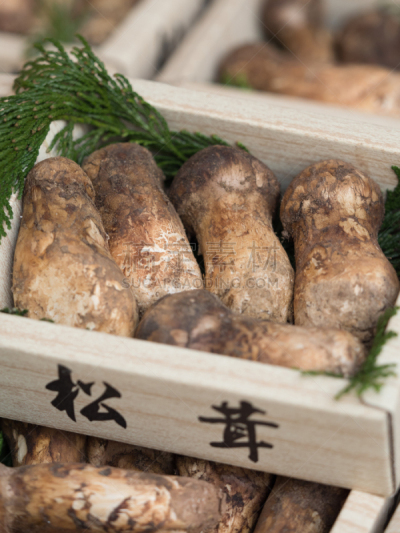 松茸,商店,条纹,垂直画幅,饮食,零售展示,成一排,秋天,日本,蘑菇